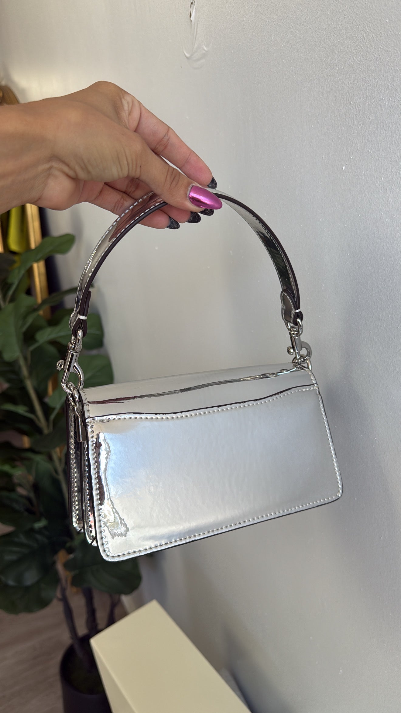 Silver Cc Bag (pre-order) costó $150