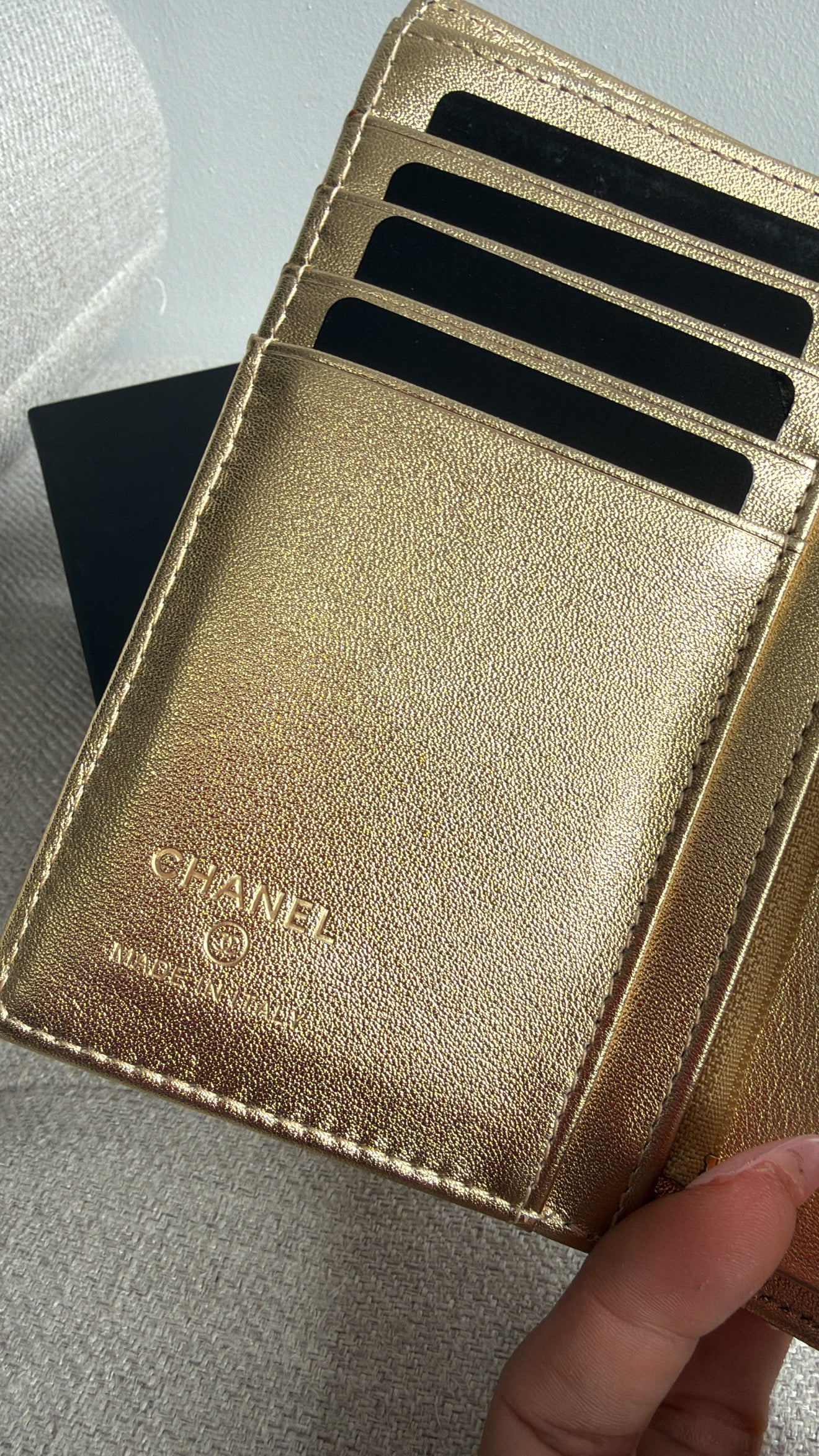 CH passaport case