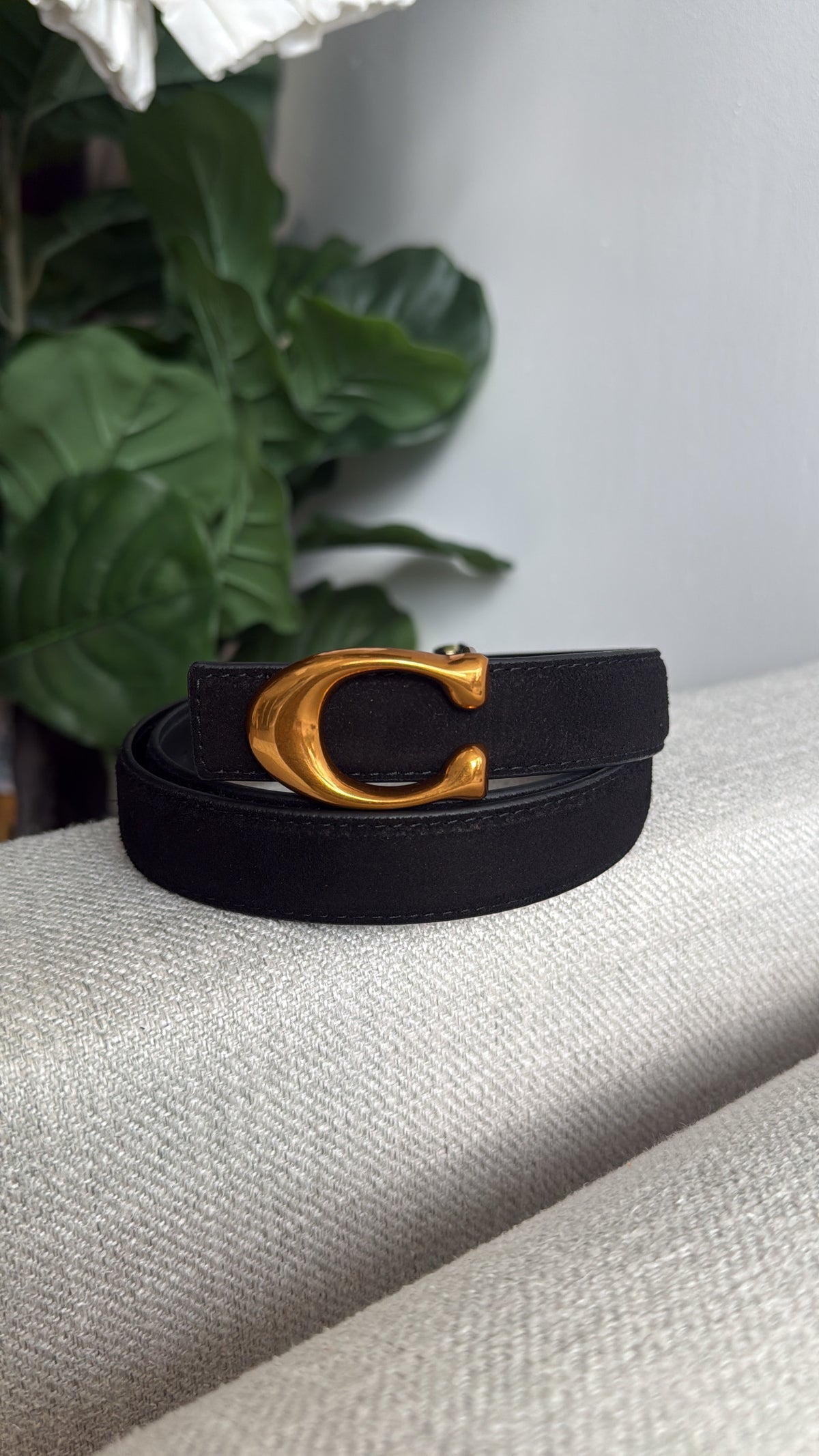 CC Suede Belt Restock