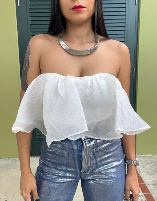 Organza Tube top