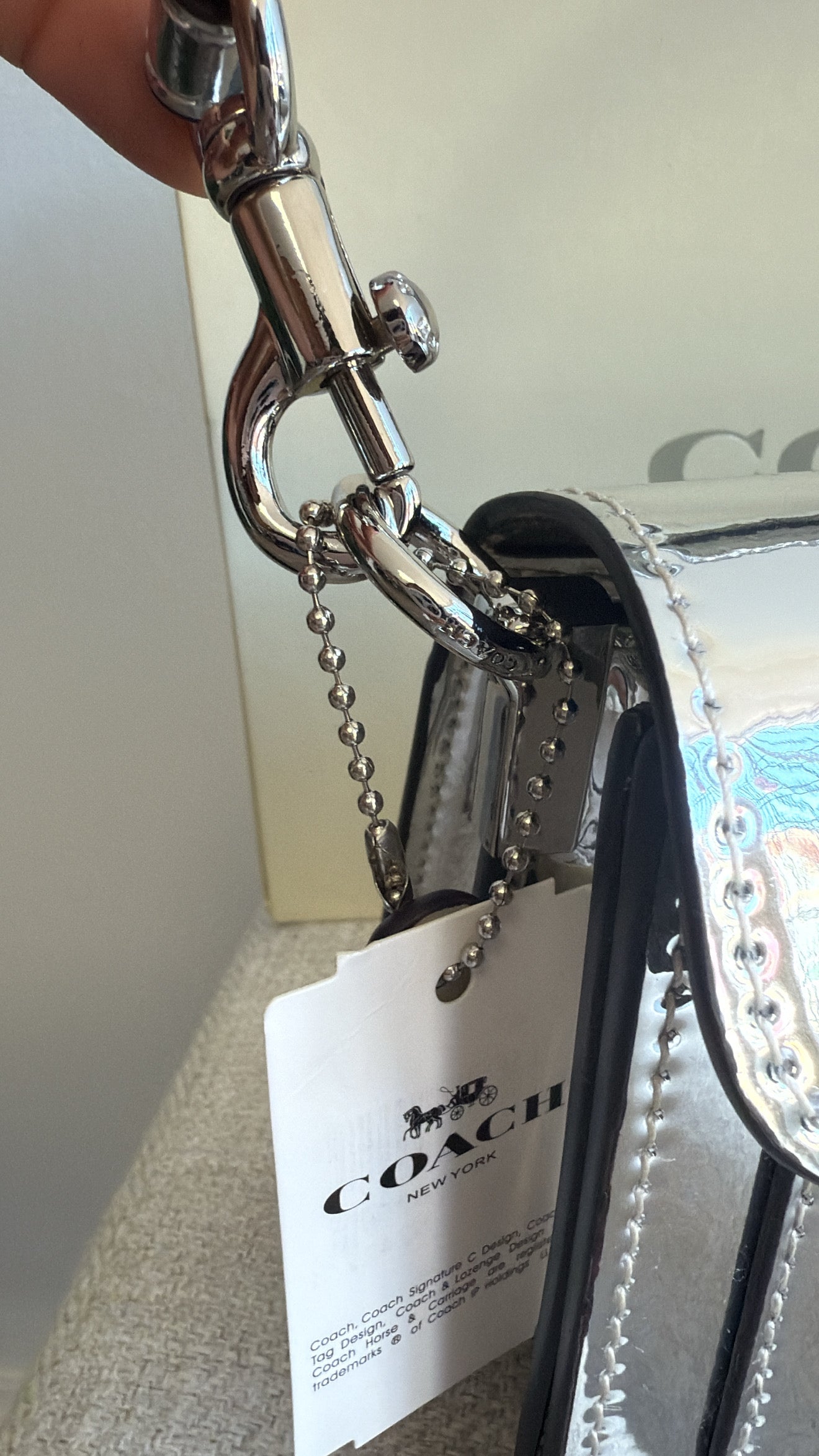 Silver Cc Bag (pre-order) costó $150
