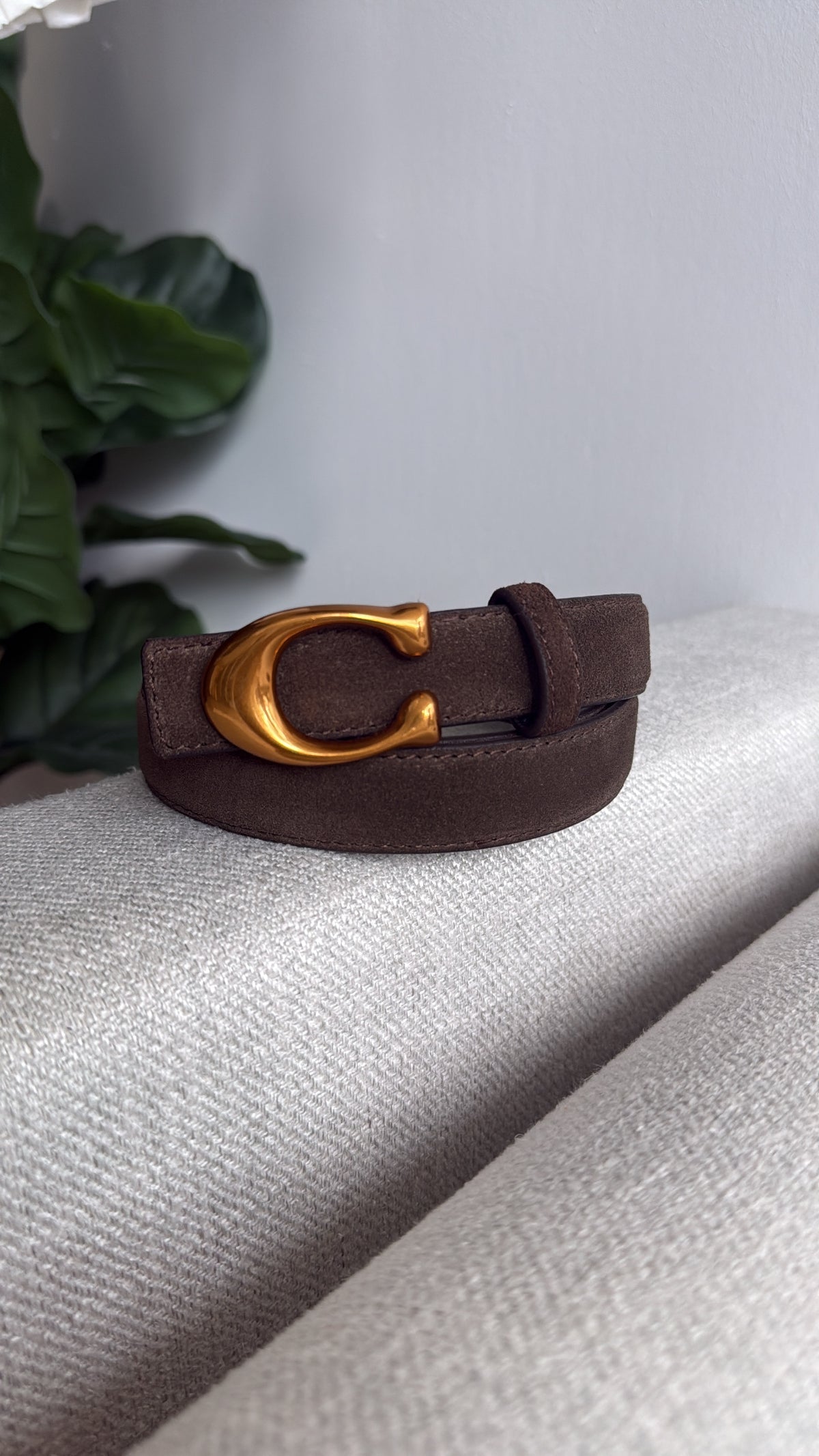CC Suede Belt Restock