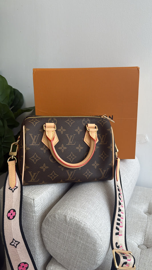 LV Speedy Bag (pre-order) costó $250
