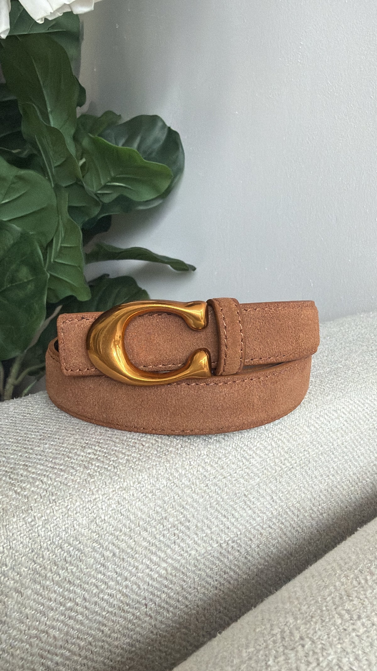 CC Suede Belt Restock