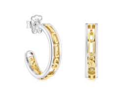 Gold and silver Earrings
