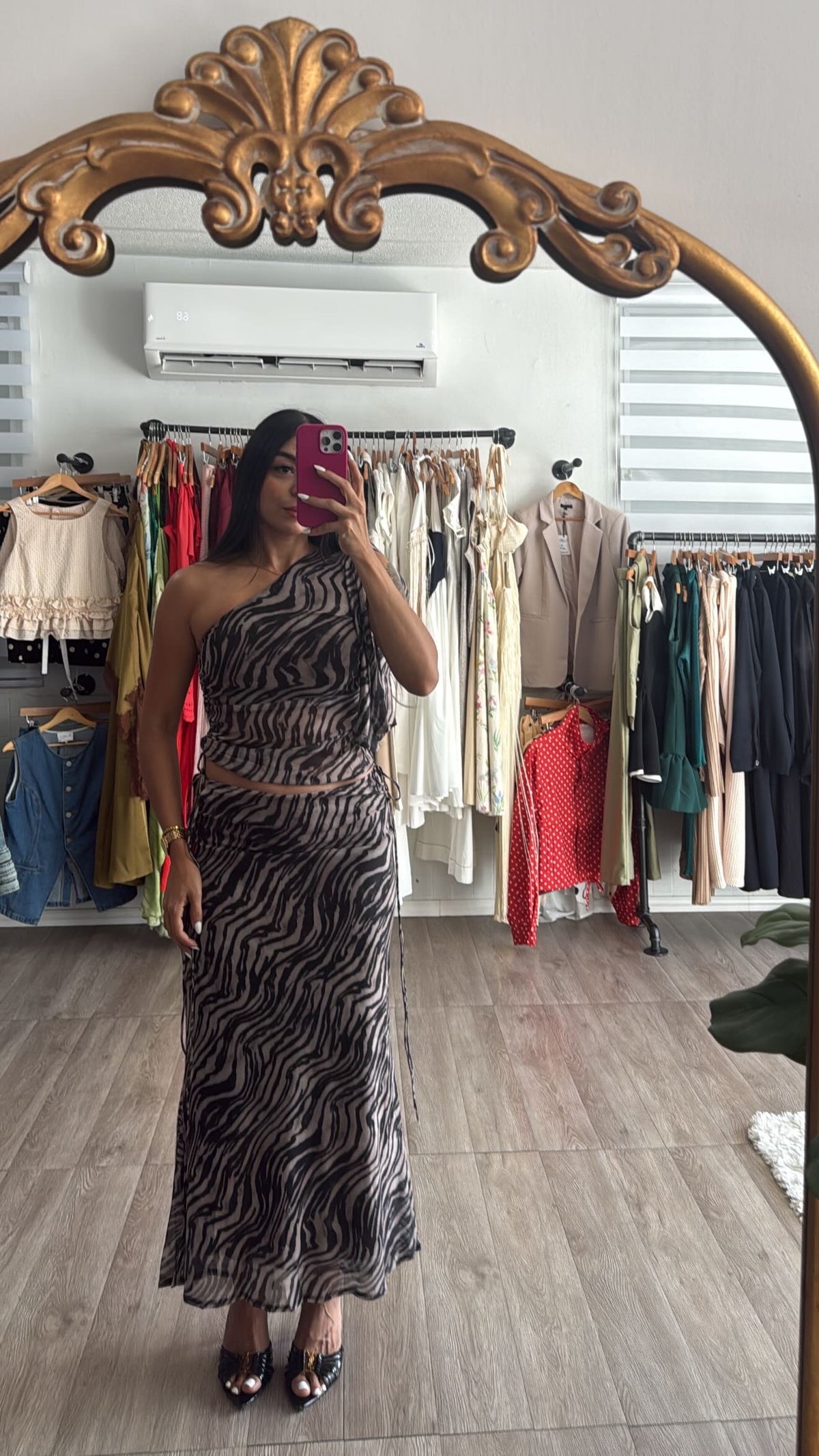Zebra Skirt set